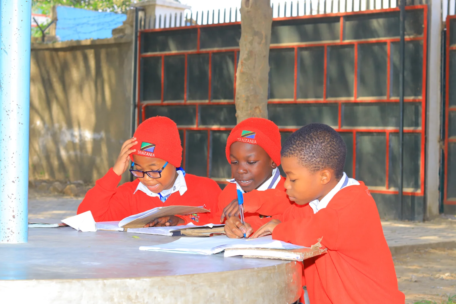 Pupils studying together in the school grounds.